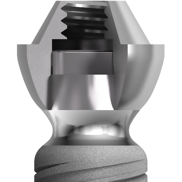 Section of a twinKon®4 conical abutment for dental implant