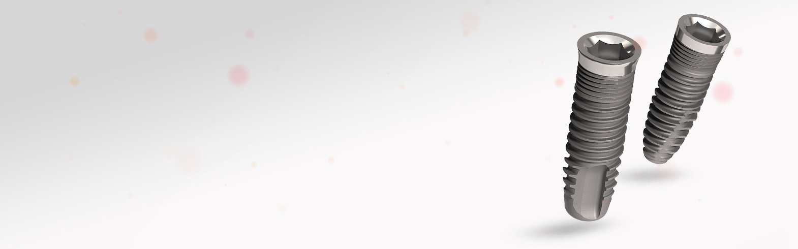 Banner_Pilares EVL®