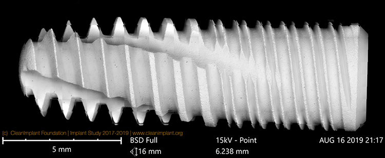 Clean Implant Foundation passe au crible l’implant dentaire In-Kone®