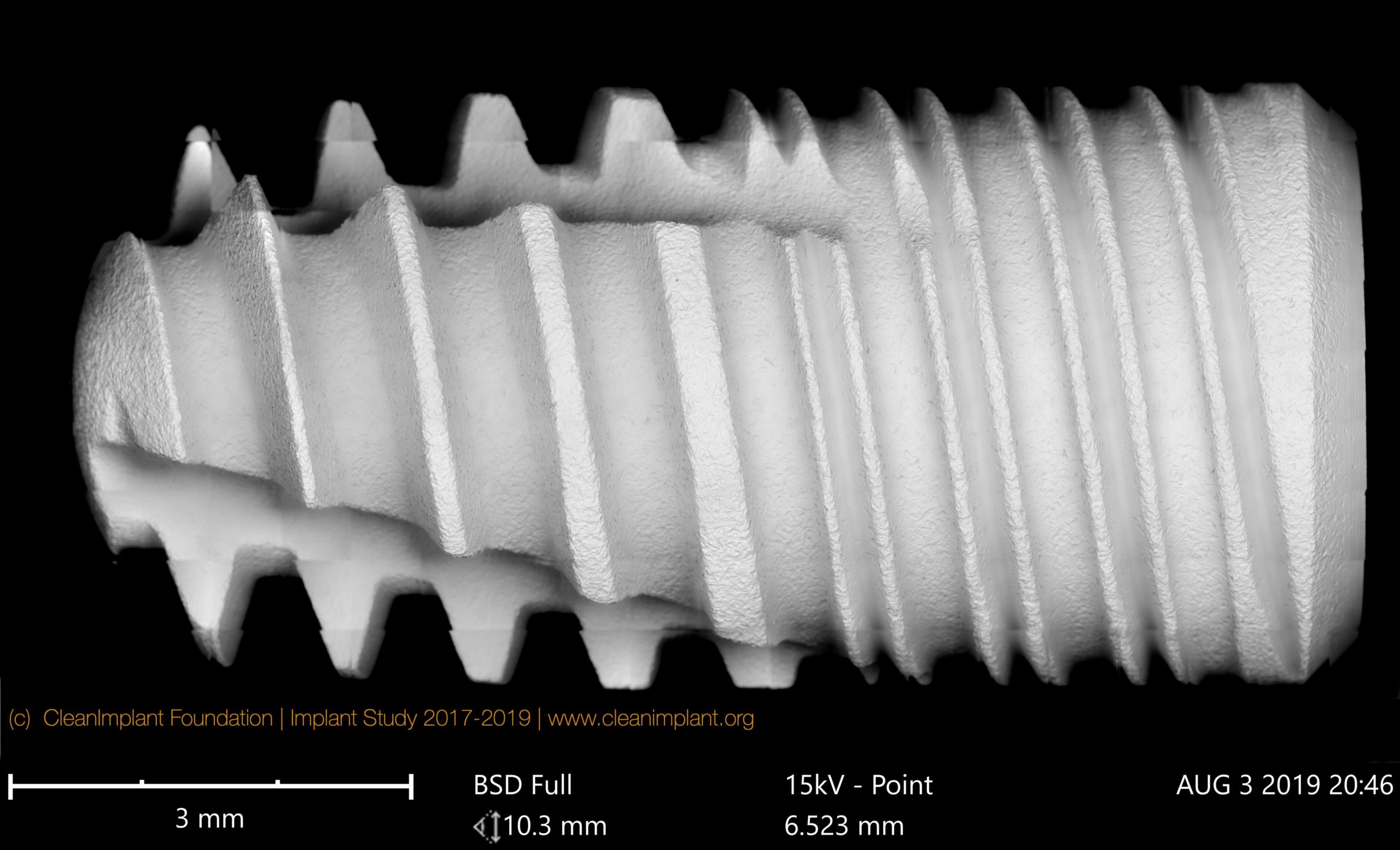Clean Implant Foundation passe au crible l’implant dentaire In-Kone®