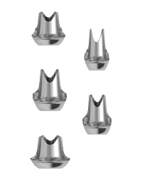 Faux-moignons anatomiques pour implant dentaire twinKon®