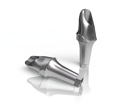 Panthera Customised Abutments