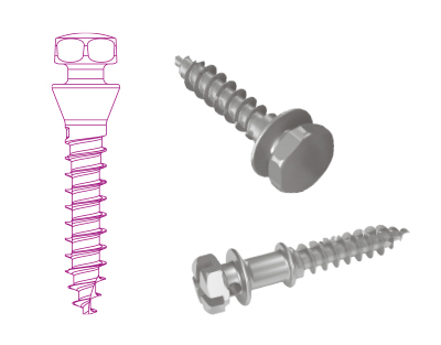 Orthodontic Ancorage Mini-Srews_Ancotek Range