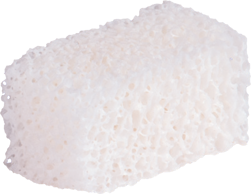 Bloques de hueso alogénico esponjoso BIOBank