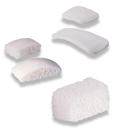 BIOBank plates, blocks and allogenic bone strips