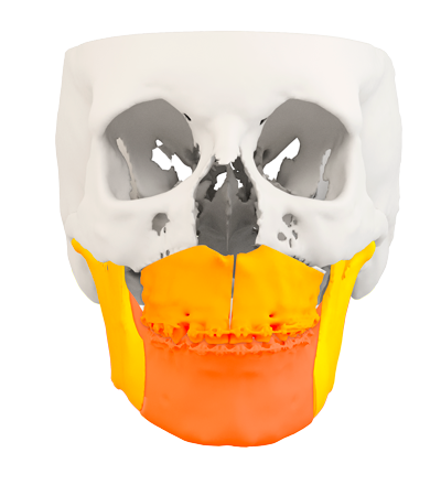 Cirugía ortognática_Interfaz de planificación 3D Ortrau.tek